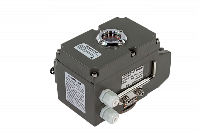 082X4538R Затвор Ридан PN16 DN250 чугун/EPDM/ЭП220В